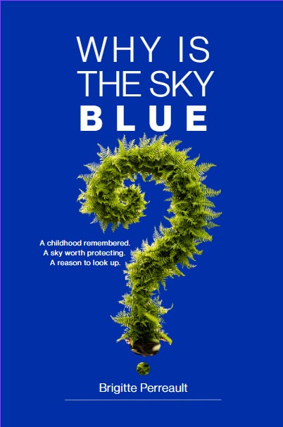 Why Is The Sky Blue — book by Brigitte Perreault